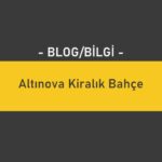 Altınova Kiralık Bahçe