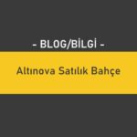 Altınova Satılık Bahçe