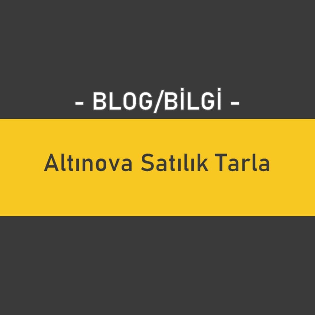 Altınova Satılık Tarla